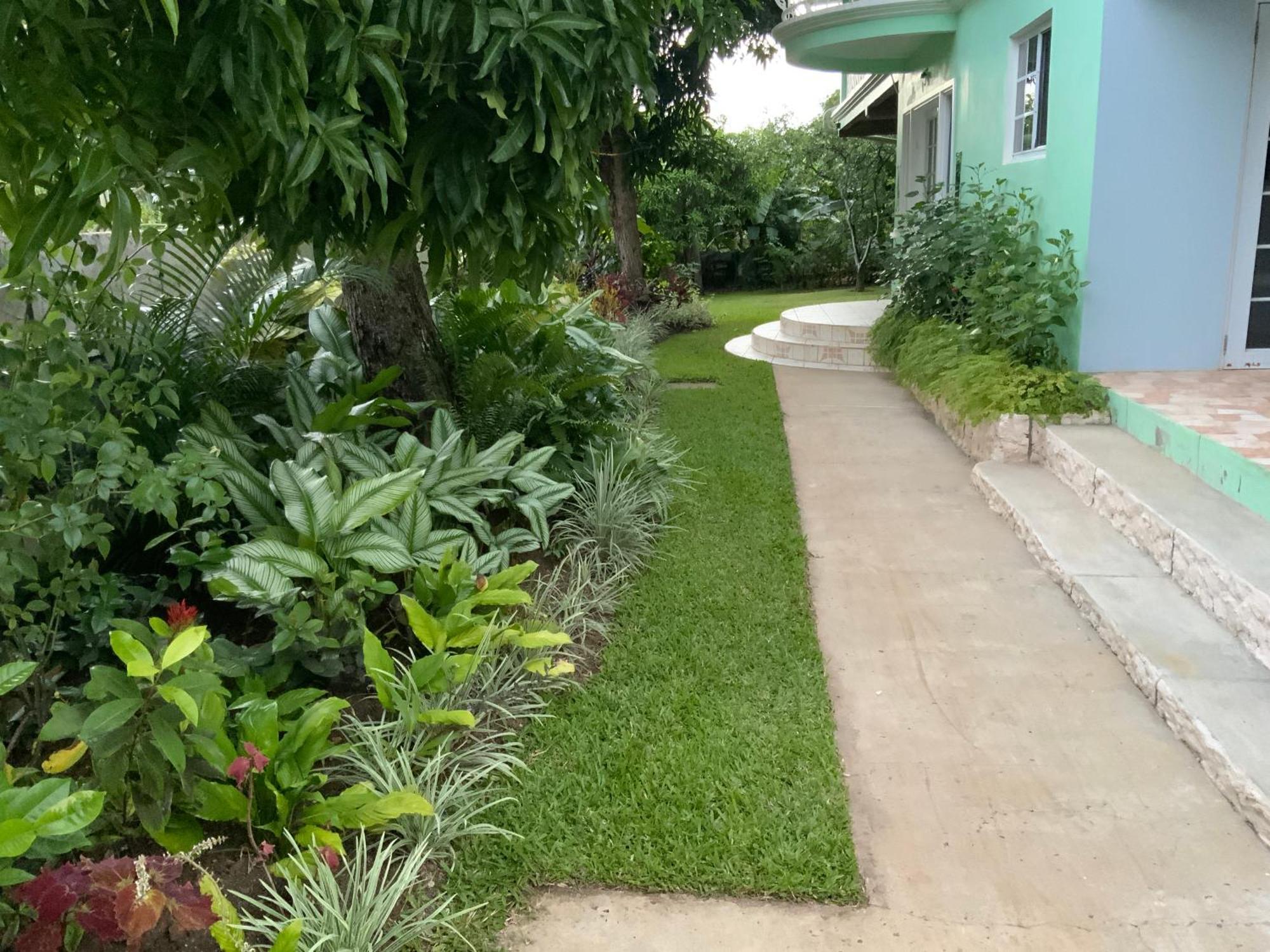 Marvey'S Place Castries Exterior foto